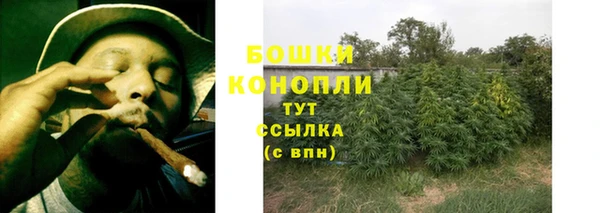 первитин Лабытнанги