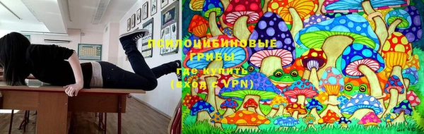 mdpv Ладушкин