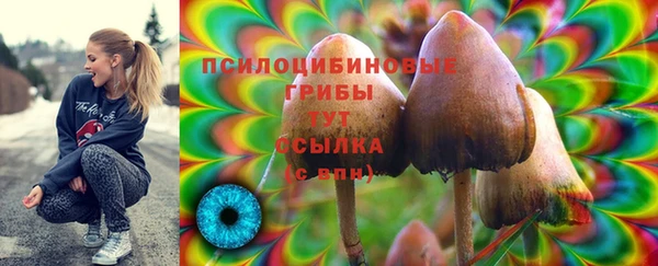 2c-b Лагань