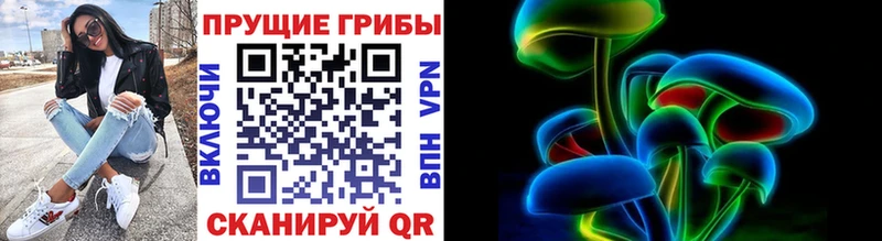 Псилоцибиновые грибы Psilocybine cubensis  Купить  Никольское 